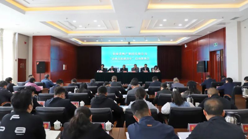 集團召開&ldquo;企業(yè)文化建設年&rdquo;啟動部署會