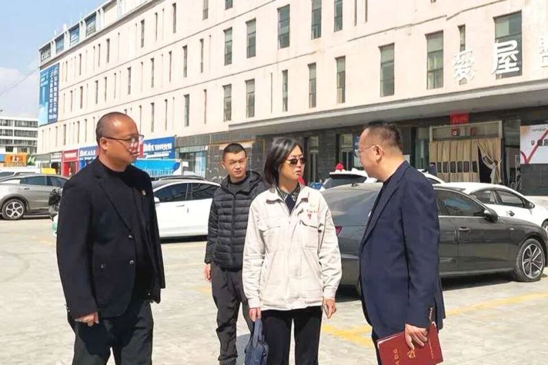 集團(tuán)黨委書記、董事長劉玲赴現(xiàn)代物流公司調(diào)研