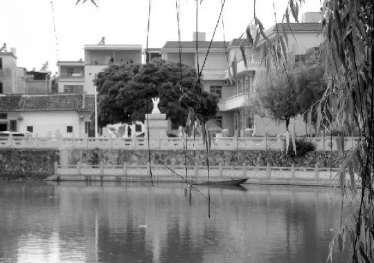 老鄉(xiāng)眼里的李河君：陌生富豪，夫人助其發(fā)財(cái)